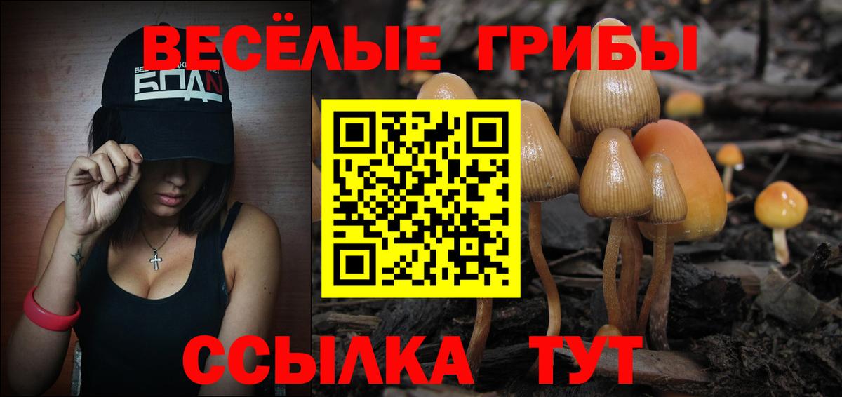 Заволжье  Псилоцибиновые грибы ЛСД  купить наркотик  Вход с VPN 